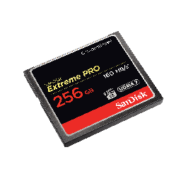 [A01117] KARTE MEMORIE SANDISK SDCFXPS-256G-X46 256 GB