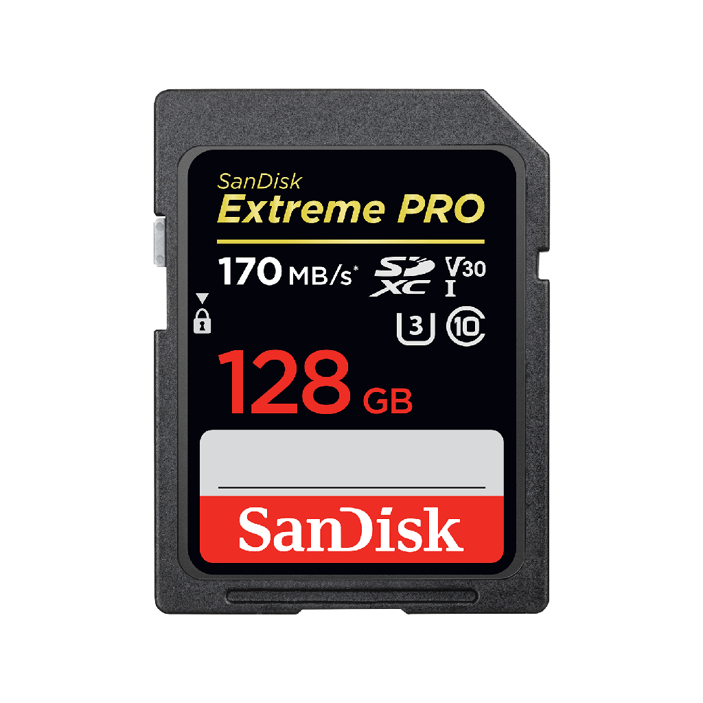 KARTE MEMORIE SANDISK SDSDXXY-128G-GN4IN 128GB