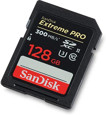 KARTE MEMORIE SANDISK SDSDXPK-128G-GN4IN 128GB EOL