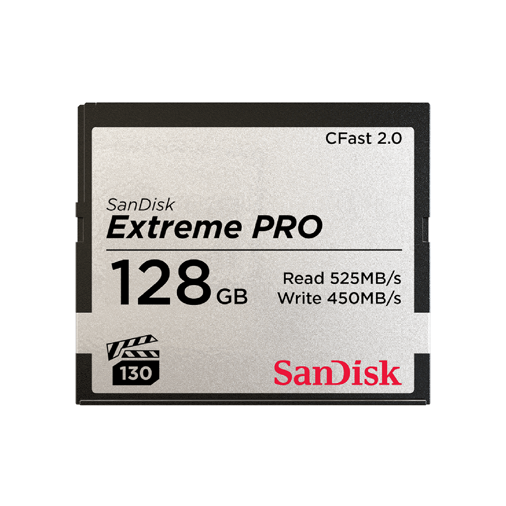KARTE MEMORIE SANDISK SDCFSP-128G-G46D 128 GB 2.0
