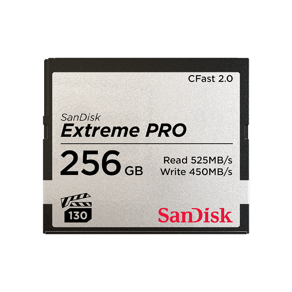 KARTE MEMORIE SANDISK SDCFSP-256G-G46D 256GB 2.0