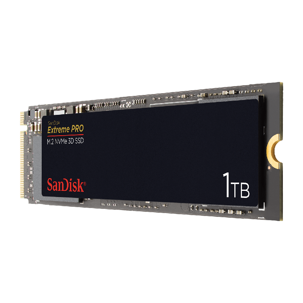 SSD SANDISK SDSSDXPM2-1T00-G25 1TB