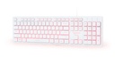 GEMBIRD 3-color backlight multimedia keyboard, white, US layout | KB-UML3-01-W