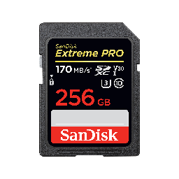 [A01104] KARTE MEMORIE SANDISK SDSDXXY-256G-GN4IN 256GB