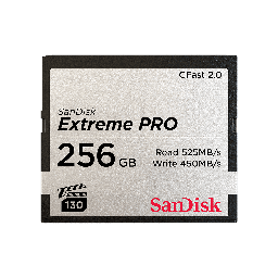 [A01120] KARTE MEMORIE SANDISK SDCFSP-256G-G46D 256GB 2.0